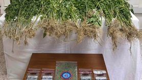 Denizli'de Uyuşturucu Operasyonu: 1 Şüpheli Tutuklandı