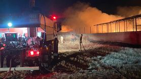 Diyarbakır Eğil'deki Tarım Yangını Kontrol Altına Alındı