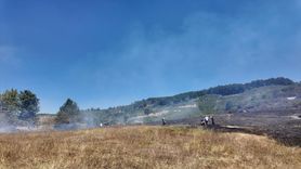 Düzce'deki örtü yangını kontrol altına alındı