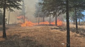 Edirne'deki Kavgaz Tabya'da Yangın Kontrol Altına Alındı