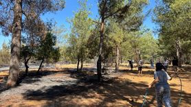 Fethiye'de Orman Yangını Kontrol Altına Alınmaya Çalışılıyor