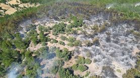 Isparta'daki Orman Yangını Kontrol Altına Alındı
