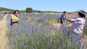 Isparta'nın Mor Tarlaları: Kuyucak'taki Lavanta Bahçeleri Turist Akınına Uğradı