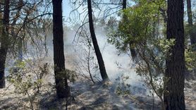 İstanbul'da Aydos Ormanı'nda Yangın Kontrol Altına Alındı