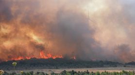 İzmir'deki Makilik Alanda Yangın Söndürme Çalışmaları