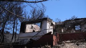 İzmir'deki Orman Yangınları Sonrası Hasar Tespit Çalışmaları Sonuçlandı