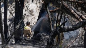 İzmir'deki Yangınlarla Mücadelede Orman İşçileri Seferber Oldu