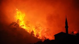 İzmir'in Ödemiş ilçesinde orman yangınına müdahale devam ediyor