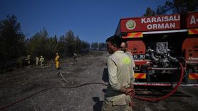 Karabük'te Orman Kahramanları Alevlerle Mücadelede