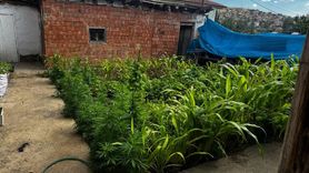 Kırıkkale'de İki Uyuşturucu Operasyonu: 5 Gözaltı