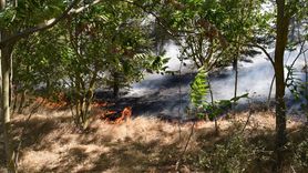 Kırklareli'nde Ağaçlık Alanda Yangın Söndürüldü