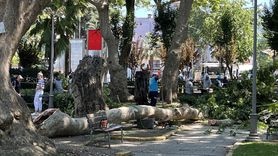 Kocaeli'de Ağaç Dolu Çuval Yaralandırdı