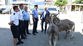 Kosova'da Meclis Başkanlığı Seçimi Eşeklerle Protesto Edildi