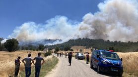 Kütahya'da Orman Yangınına Büyük Müdahale