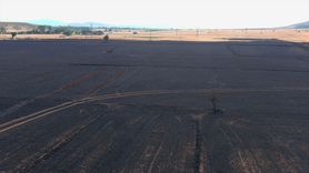 Kütahya'da Yangın, 800 Dekar Ekili Alanı Zarar Gördürdü