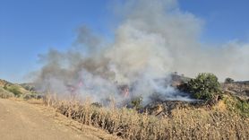 Makilik Alanda Yangın: Manisa'da Havadan ve Karadan Müdahale