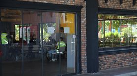 Manavgat'taki Aslan Kaçışı: Hayvan Parkında Denetim ve Gözaltı Süreci