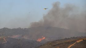 Manisa'da Yangın Kontrol Altında