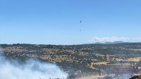 Mersin'de Yangın Alarmı: Çöplükten Ormana Sıçradı