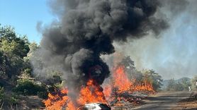 Muğla'daki Orman Yangını Kontrol Altına Alındı