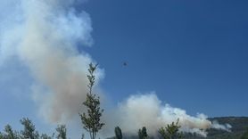 Muğla Menteşe'de Orman Yangınına Müdahale