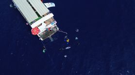 Şahika Ercümen, Türkiye Şampiyonasında 4 Altın Madalya Kazandı