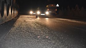 Sakarya'da Bir Gün Sineklerinin Ölüm Uçuşu