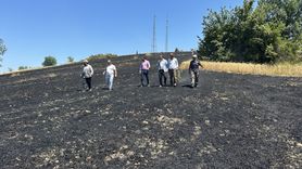 Samsun'daki Yangın 50 Dönüm Araziyi Küle Çevirdi