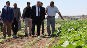 Şanlıurfa'da Ata Tohumları Yeniden Canlandırılıyor