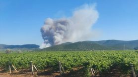 Saruhanlı'da Orman Yangını: Ekipler Etkili Mücadele İçin Seferber Oldu