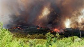 Suriye'de Orman Yangını: Lazkiye'de Birden Fazla Köy Etkilendi