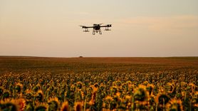 Tekirdağ'da Çiftçiler Çekirge Mücadelesi İçin İlaçlama Yapıyor