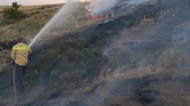Tokat'ta Anız Yangını: 50 Dönüm Zarar Gördü