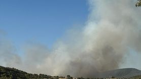 Uşak ve Manisa'daki Yangınlara Havadan ve Karadan Müdahale