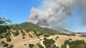 Uşak ve Manisa'daki Yangınlara Karadan Müdahale Devam Ediyor