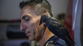 Zeytin, İtfaiye İstasyonunun Sevimli Maskotu