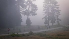 3. Uluslararası Ultra Abant Patika Koşu Yarışması Bolu'da Gerçekleşti