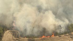 Adana'da Orman Yangınına Müdahele Devam Ediyor