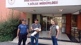 Adana'da Yaralı Leylek Tedavi Altına Alındı