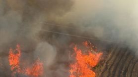 Adana İmamoğlu'ndaki Orman Yangını Kontrol Altında