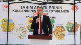 Bafra Ovası'nda 347 Bin Fide Dağıtımı Yapıldı