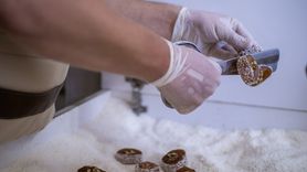 Biga Cevizli Lokumu Coğrafi İşaret Tescili İçin Başvuruda Bulundu