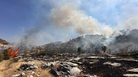 Bingöl'de Orman Yangınına Müdahale Devam Ediyor