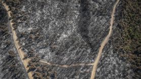 Çanakkale'de Orman Yangını: Drone ile Zarar Gören Alanlar Görüntülendi