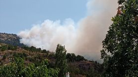 Çorum'da Orman Yangınına Müdahale Devam Ediyor