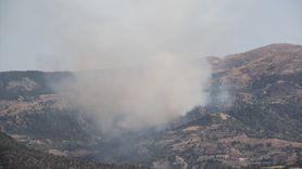 Çorum'daki Orman Yangınına Müdahale Devam Ediyor