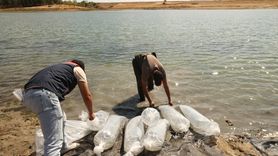 Edirne'de 30 Bin Sazan Yavrusu Göletle Buluştu