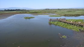 Efteni Gölü Kuş Cenneti Doğaseverleri Ağırladı