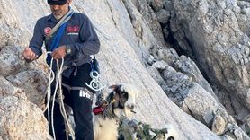 Gündoğmuş'ta Mahsur Kalan Keçiler Kurtarıldı