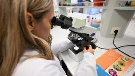 İklim Değişikliği Kestane Balını Tehdit Ediyor